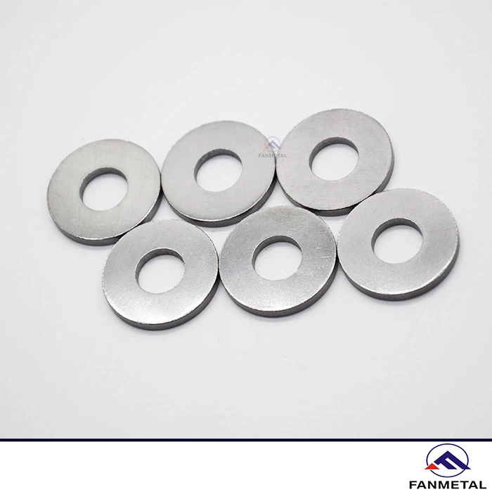 Tantalum Custom Made Washer